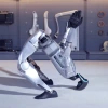 Unitree's multi-functional bionic humanoid robot with intelligent AI and interaction can provide guidance for rental Specification image